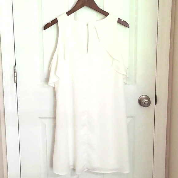 TCEC Ruffle Sleeve Dress - Picture 2 of 3